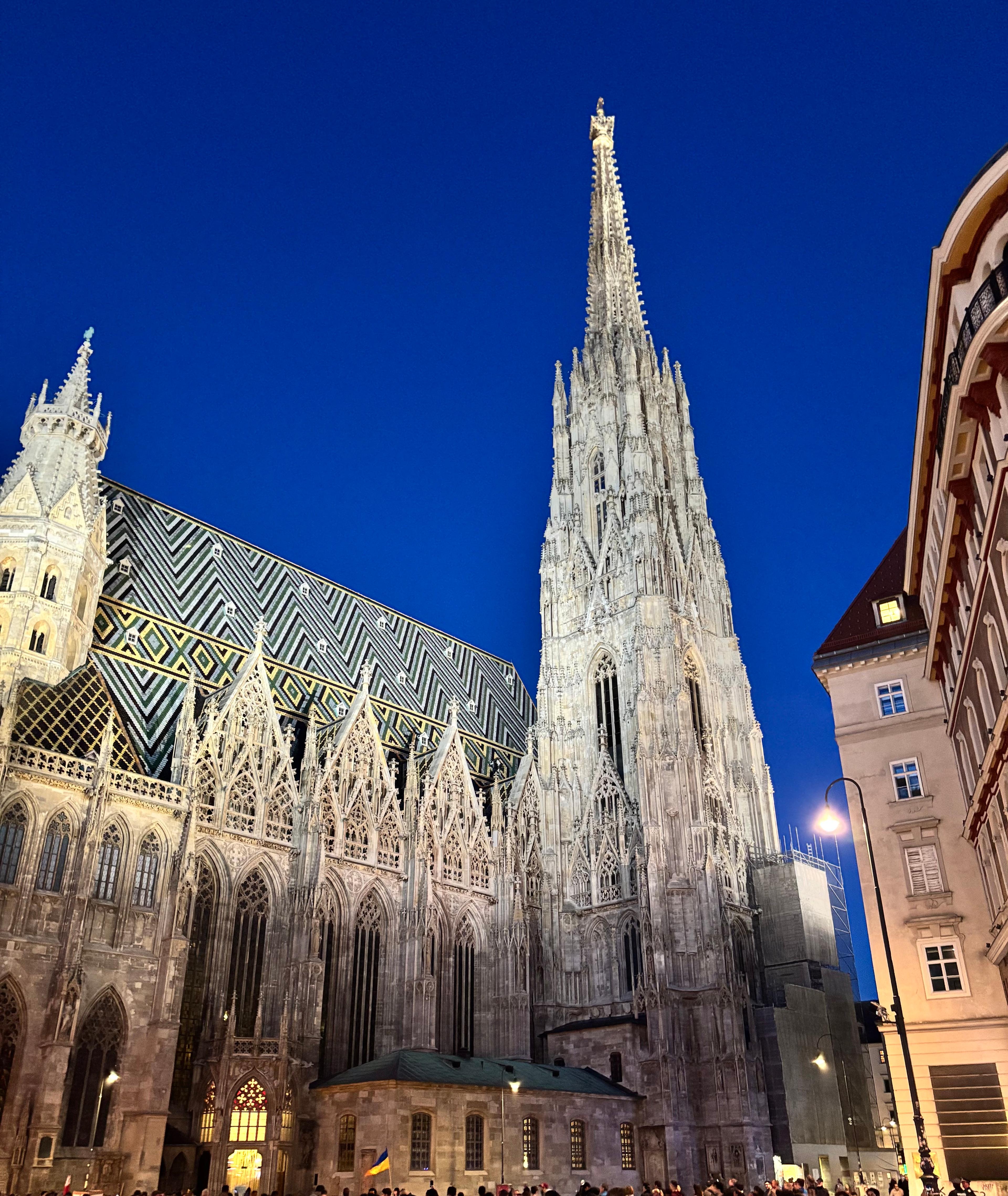 Stephansdom Gothic spire against a deep blue night sky