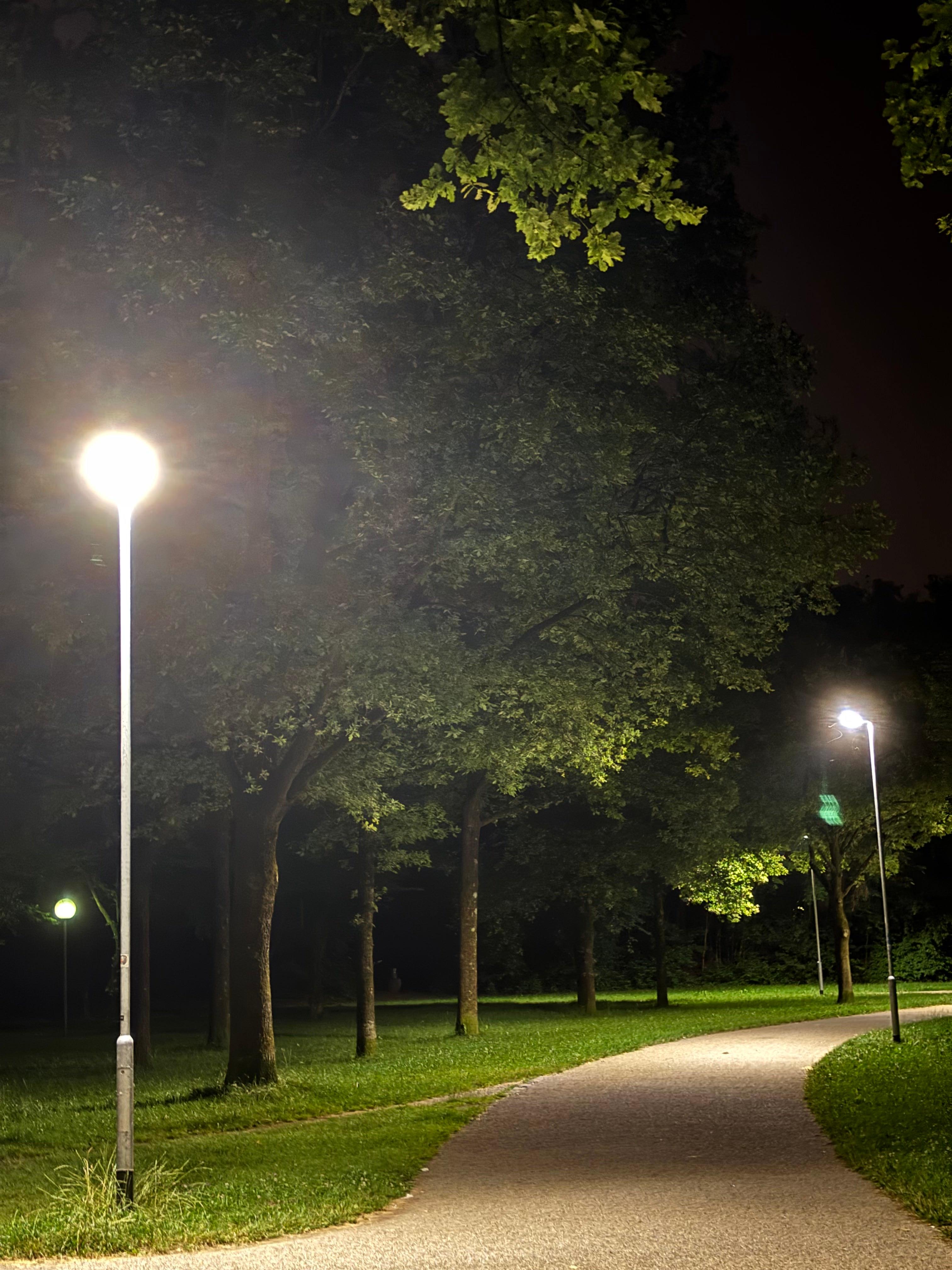 Park path lit by lamp posts at night