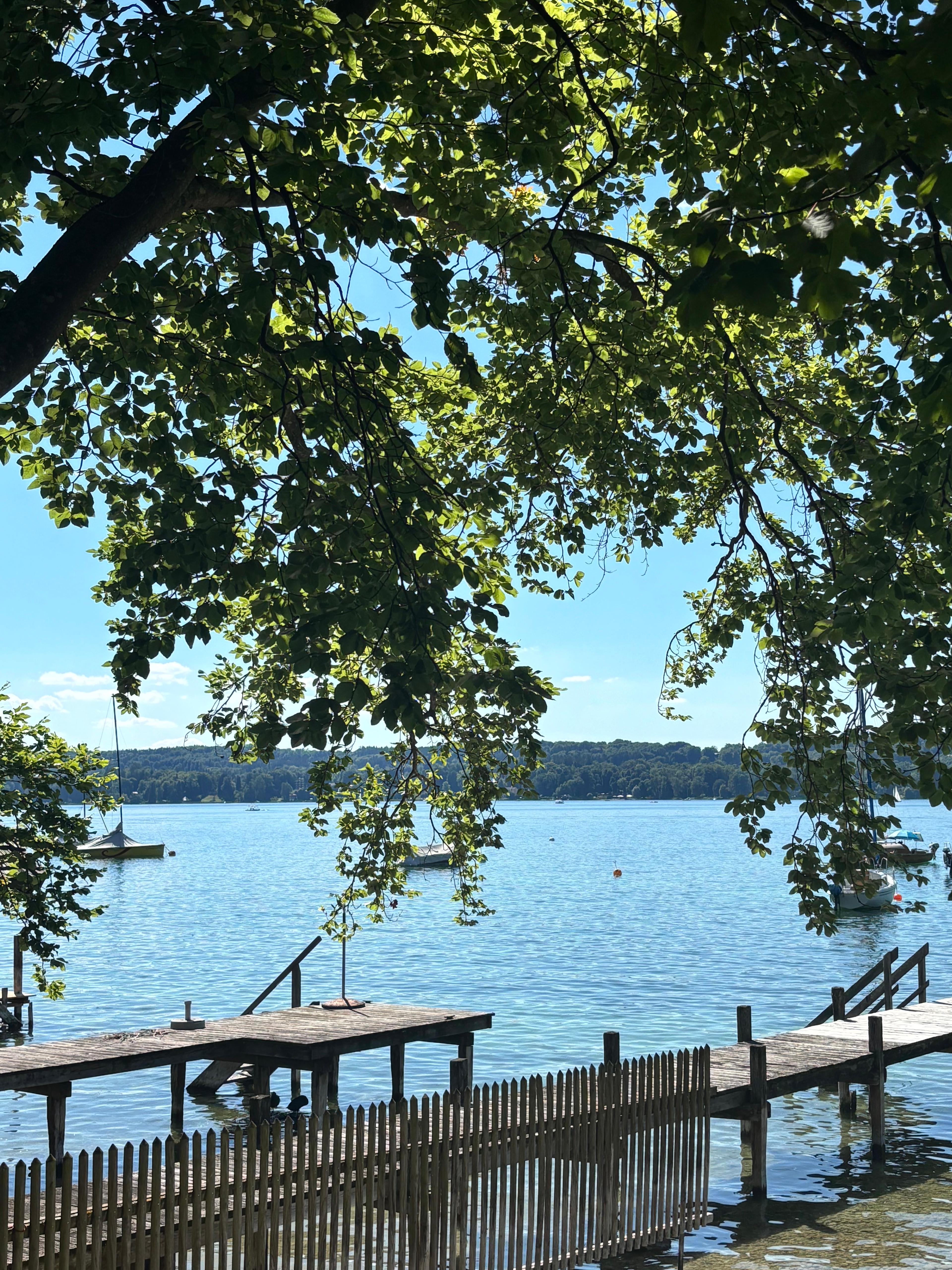 Lakeside waterfront with wooden lattice structure and tree