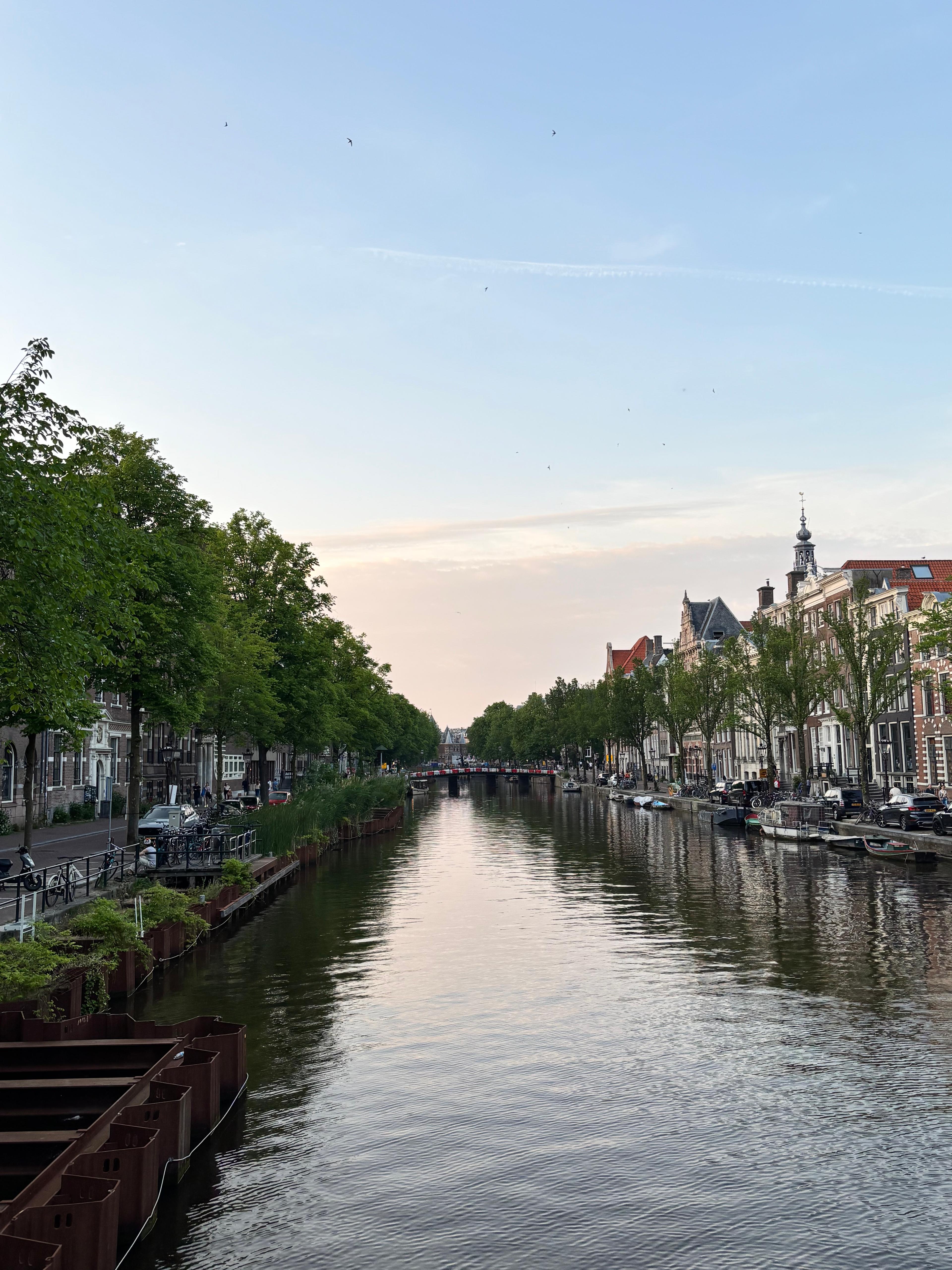 Amsterdam canal view with canal houses and tree-lined banks